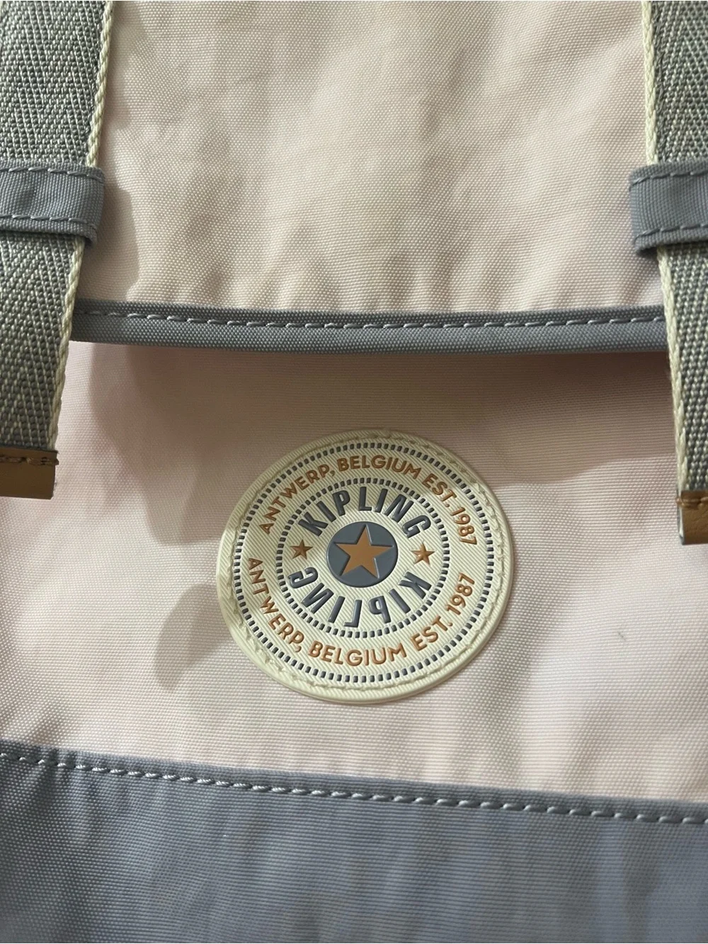 Kipling Pink and Gray Everyday Backpack